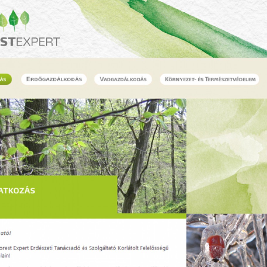 Forest Expert arculat és weboldal